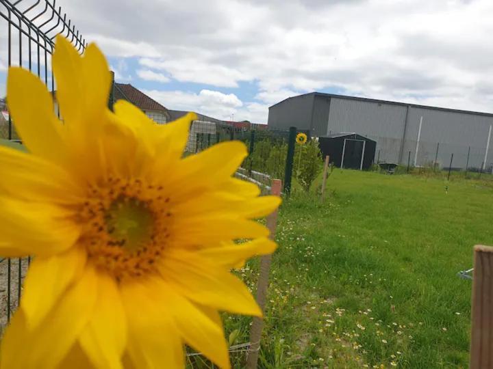 Chambre Calme Dans Une Maison Neuve Avec Jardin Billere Extérieur photo